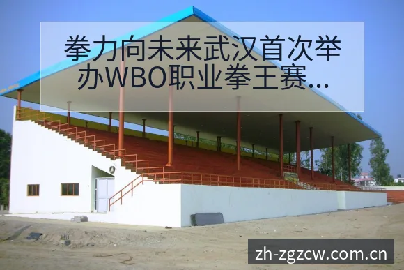 拳力向未来武汉首次举办WBO职业拳王赛阵容结构及伤病恢复 - 足彩